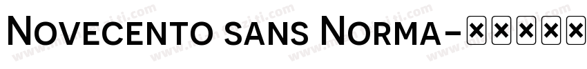 Novecento sans Norma字体转换